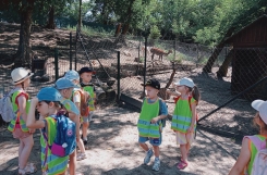 IMG20240715102941 
